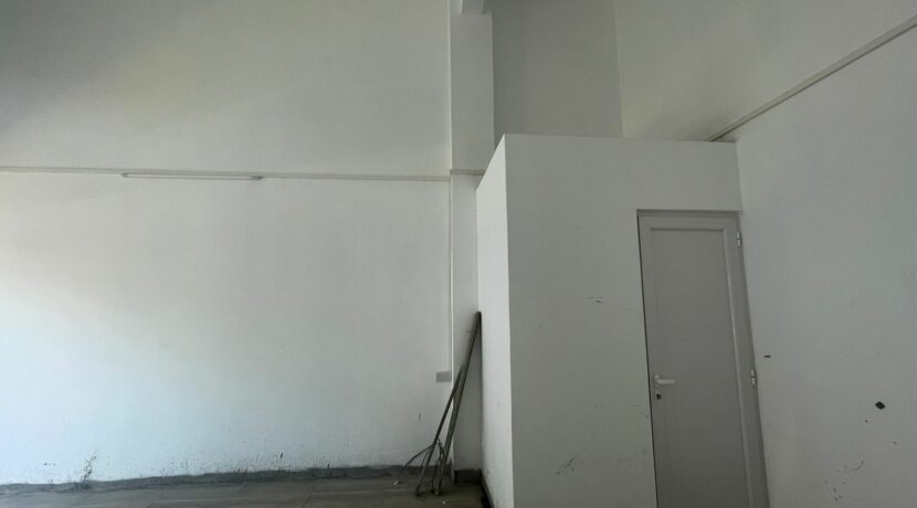 IMG-20230315-WA0019