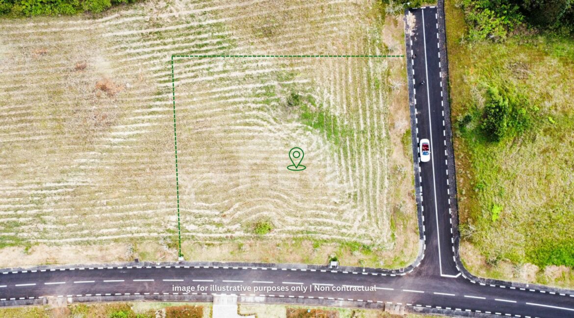 308.13 m² (5)