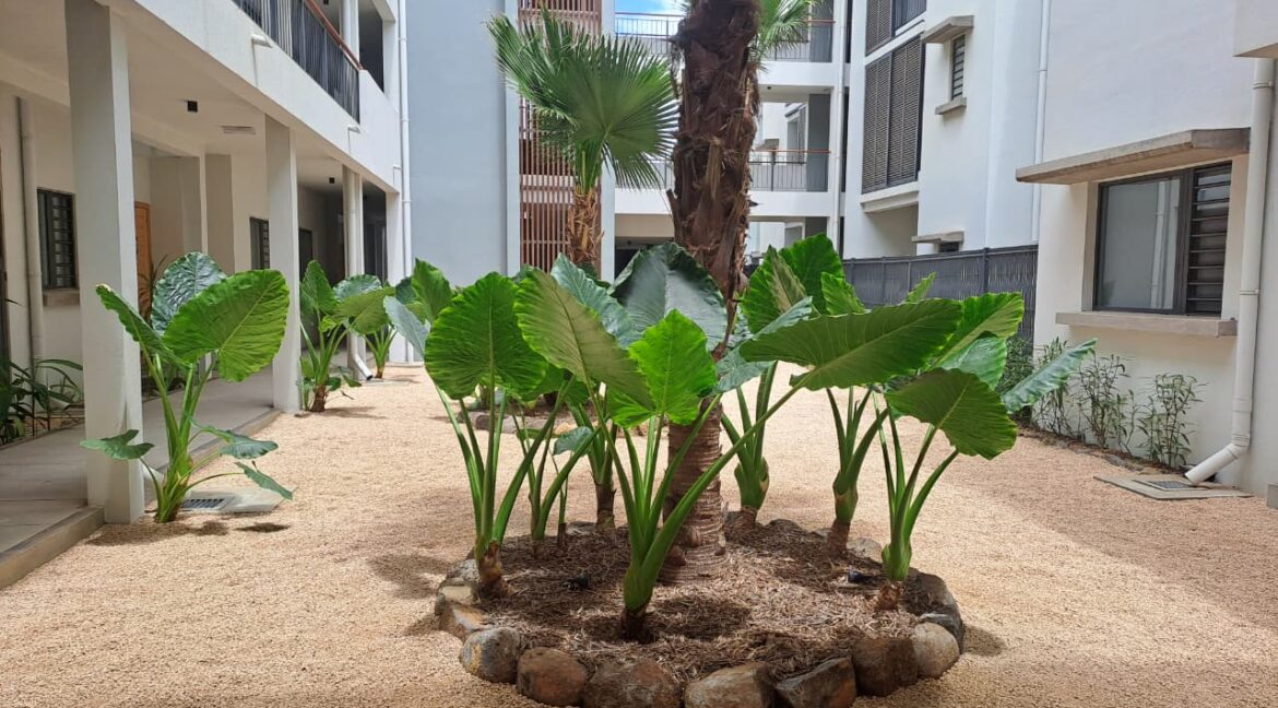 WhatsApp Image 2025-11-17 at 09.14.55 (1)