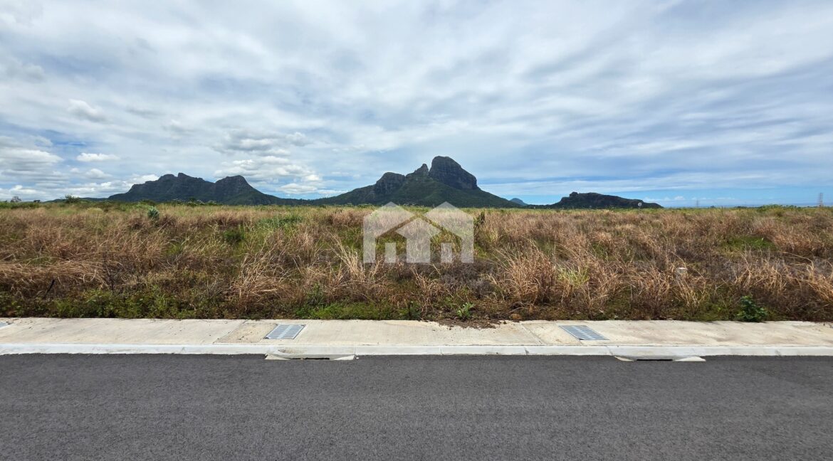 308.13 m²_20260129_134126_0002 (1)