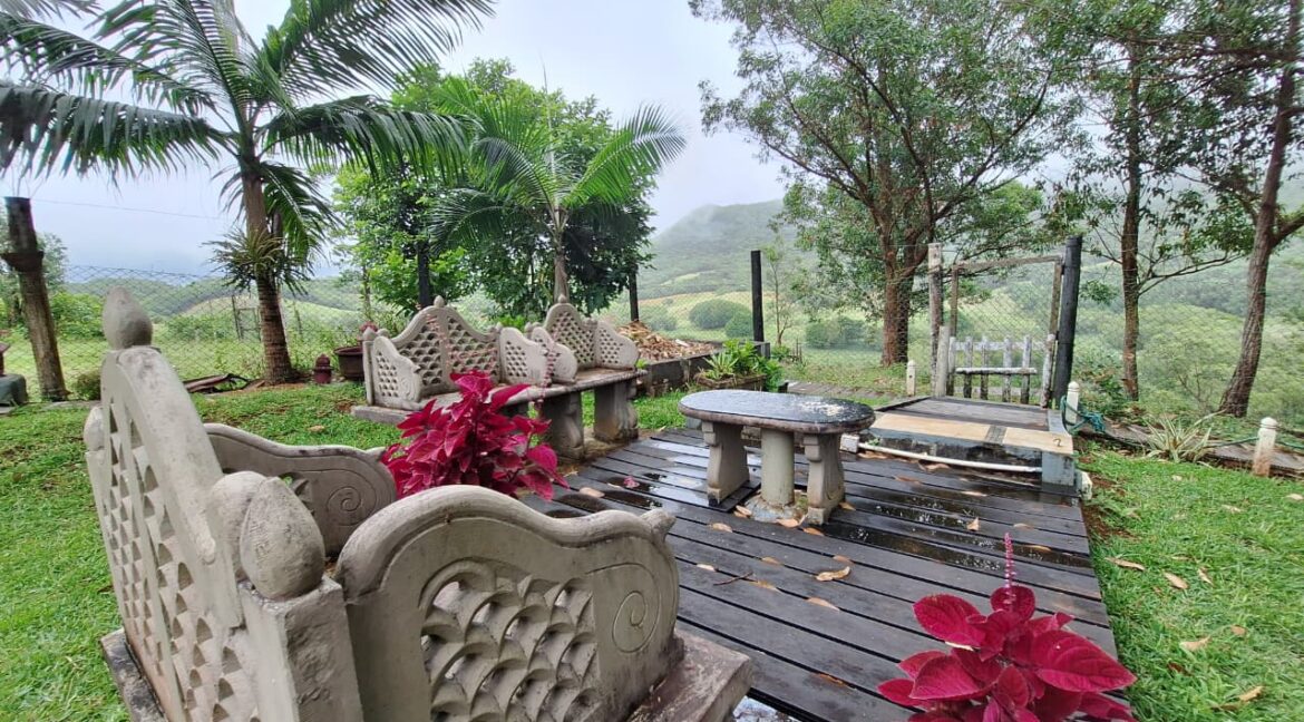 WhatsApp Image 2026-02-06 at 14.14.08