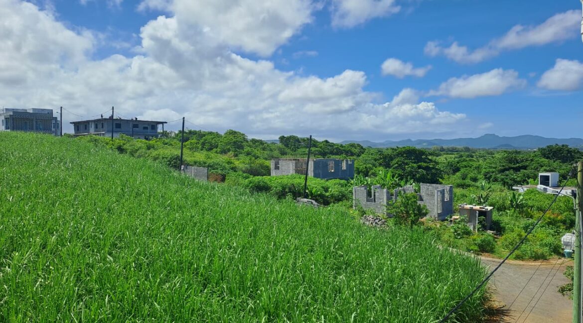 WhatsApp Image 2026-02-26 at 09.29.53