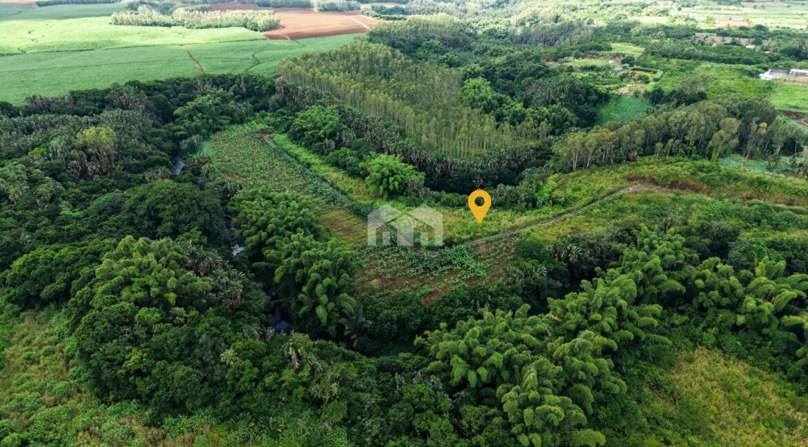 308.13 m²_20260423_144309_0003