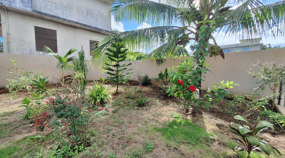 WhatsApp Image 2026-04-01 at 19.56.54