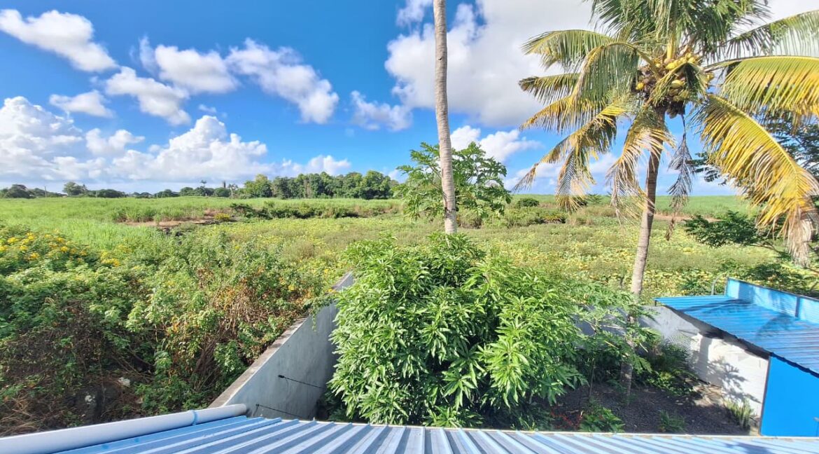 WhatsApp Image 2026-04-01 at 19.56.59